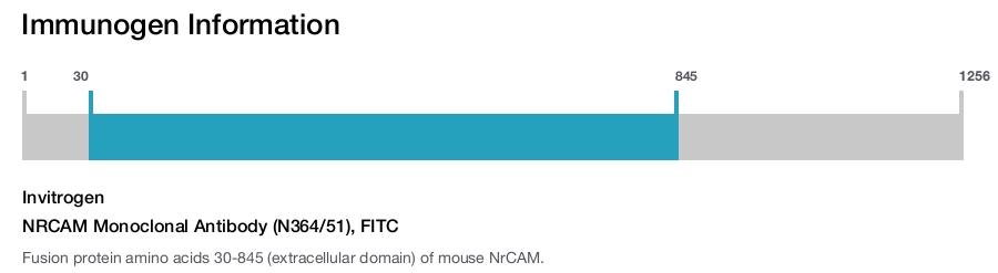 NRCAM Monoclonal Antibody (N364/51), FITC