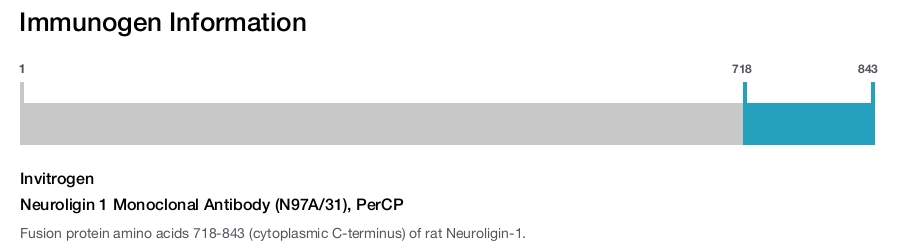 Neuroligin 1 Monoclonal Antibody (N97A/31), PerCP