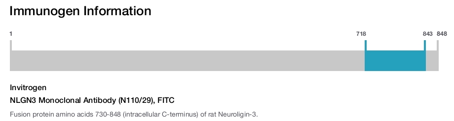 NLGN3 Monoclonal Antibody (N110/29), FITC