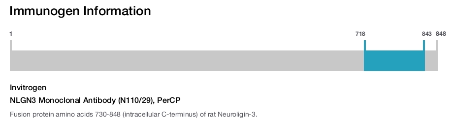NLGN3 Monoclonal Antibody (N110/29), PerCP