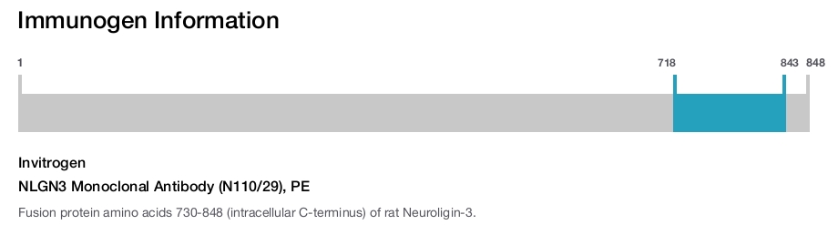 NLGN3 Monoclonal Antibody (N110/29), PE