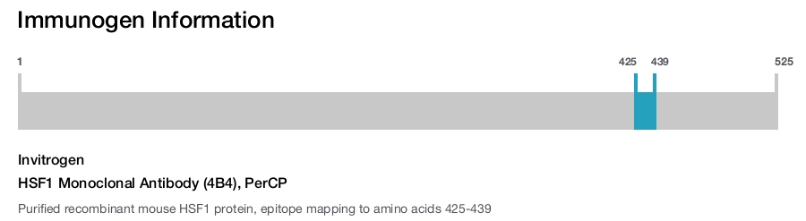 HSF1 Monoclonal Antibody (4B4), PerCP