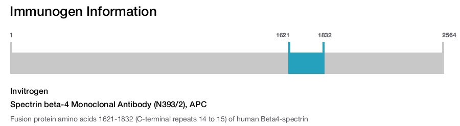 Spectrin beta-4 Monoclonal Antibody (N393/2), APC
