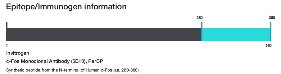 c-Fos Monoclonal Antibody (5B10), PerCP