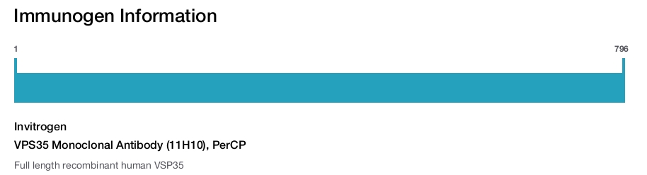 VPS35 Monoclonal Antibody (11H10), PerCP
