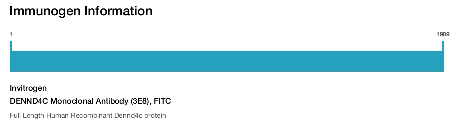 DENND4C Monoclonal Antibody (3E8), FITC