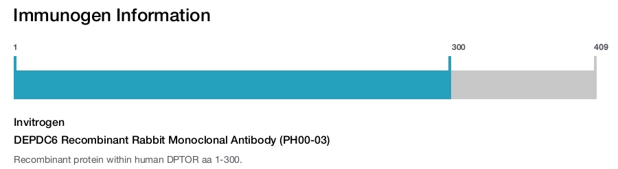 DEPDC6 Recombinant Rabbit Monoclonal Antibody (PH00-03)