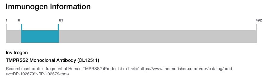 TMPRSS2 Monoclonal Antibody (CL12511)