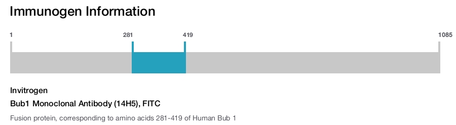 Bub1 Monoclonal Antibody (14H5), FITC