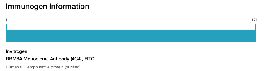 RBM8A Monoclonal Antibody (4C4), FITC