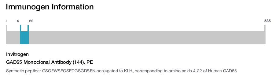 GAD65 Monoclonal Antibody (144), PE