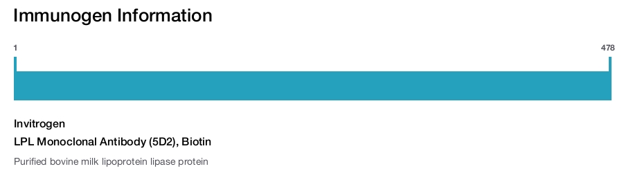 LPL Monoclonal Antibody (5D2), Biotin