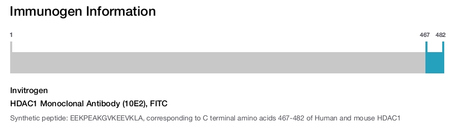 HDAC1 Monoclonal Antibody (10E2), FITC