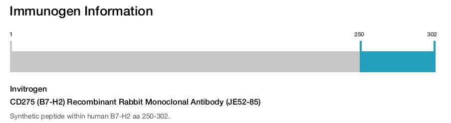 CD275 (B7-H2) Recombinant Rabbit Monoclonal Antibody (JE52-85)