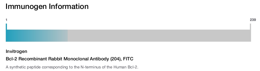 Bcl-2 Recombinant Rabbit Monoclonal Antibody (204), FITC