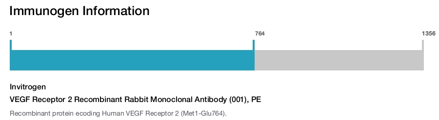 VEGF Receptor 2 Recombinant Rabbit Monoclonal Antibody (001), PE