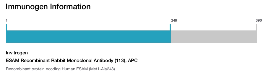 ESAM Recombinant Rabbit Monoclonal Antibody (113), APC