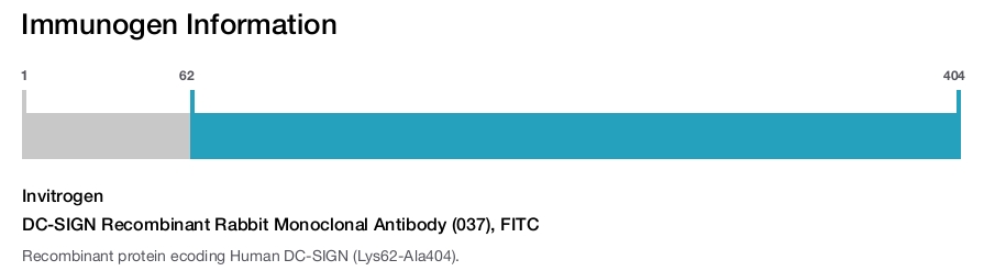 DC-SIGN Recombinant Rabbit Monoclonal Antibody (037), FITC