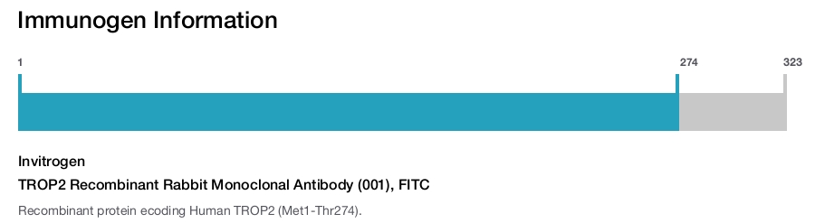 TROP2 Recombinant Rabbit Monoclonal Antibody (001), FITC