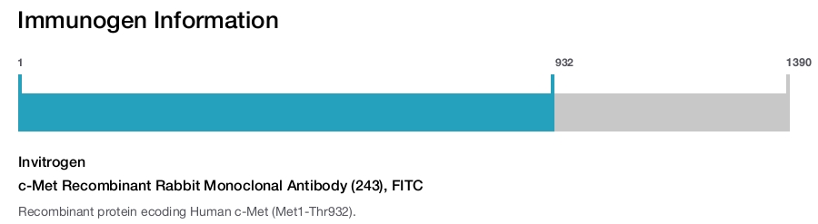 c-Met Recombinant Rabbit Monoclonal Antibody (243), FITC