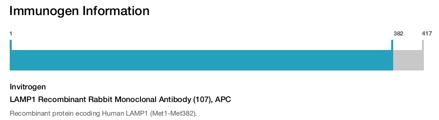 LAMP1 Recombinant Rabbit Monoclonal Antibody (107), APC