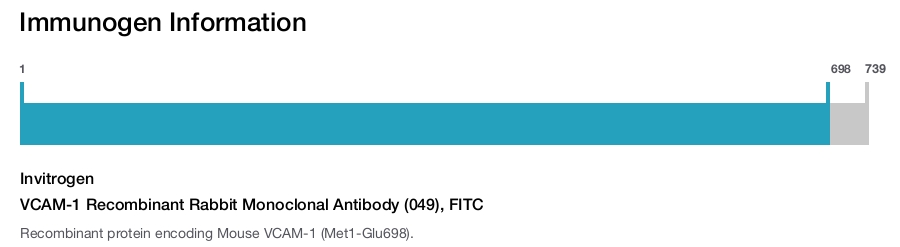 VCAM-1 Recombinant Rabbit Monoclonal Antibody (049), FITC