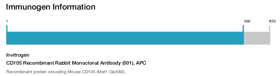 CD105 Recombinant Rabbit Monoclonal Antibody (001), APC