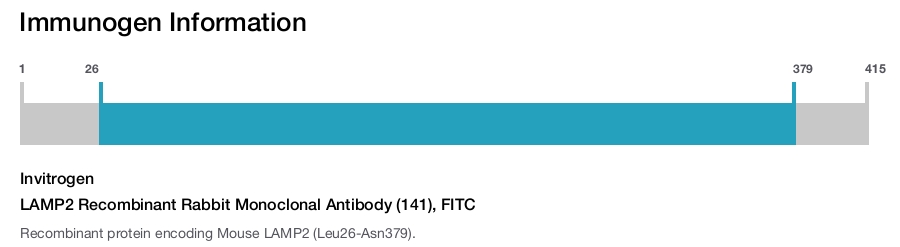 LAMP2 Recombinant Rabbit Monoclonal Antibody (141), FITC