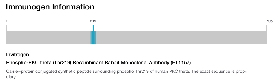 Phospho-PKC theta (Thr219) Recombinant Rabbit Monoclonal Antibody (HL1157)