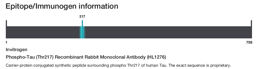 Phospho-Tau (Thr217) Recombinant Rabbit Monoclonal Antibody (HL1276)