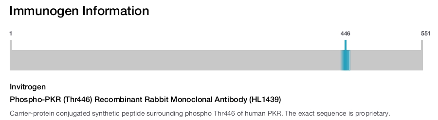 Phospho-PKR (Thr446) Recombinant Rabbit Monoclonal Antibody (HL1439)