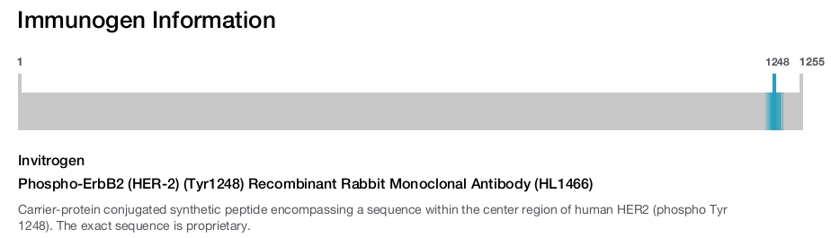 Phospho-ErbB2 (HER-2) (Tyr1248) Recombinant Rabbit Monoclonal Antibody (HL1466)