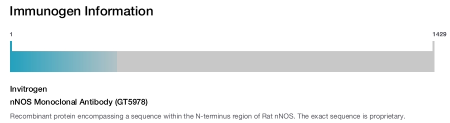 nNOS Monoclonal Antibody (GT5978)