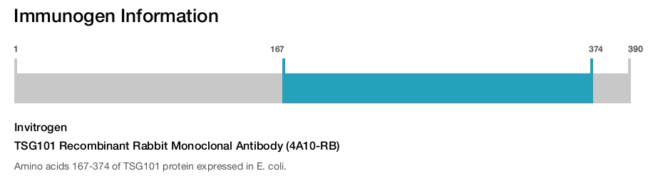 TSG101 Recombinant Rabbit Monoclonal Antibody (4A10-RB)