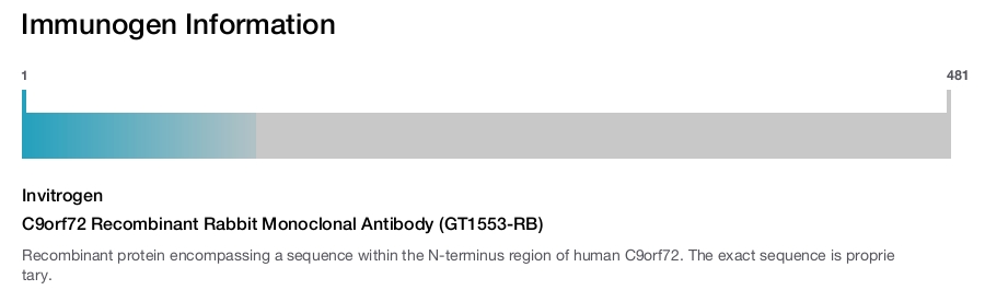 C9orf72 Recombinant Rabbit Monoclonal Antibody (GT1553-RB)