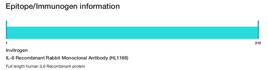 IL-6 Recombinant Rabbit Monoclonal Antibody (HL1168)