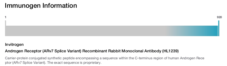 Androgen Receptor (ARv7 Splice Variant) Recombinant Rabbit Monoclonal Antibody (HL1239)