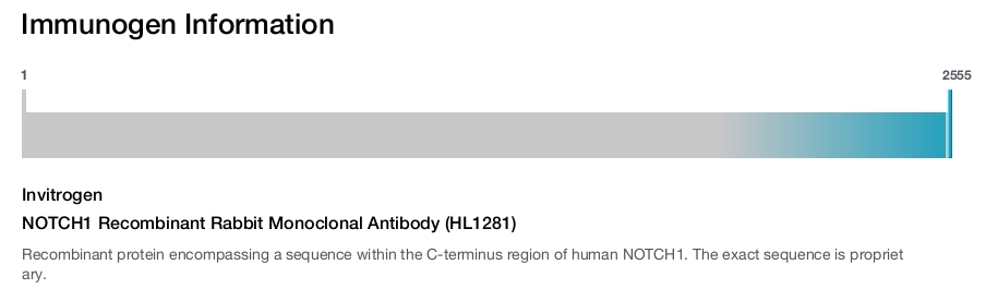 NOTCH1 Recombinant Rabbit Monoclonal Antibody (HL1281)