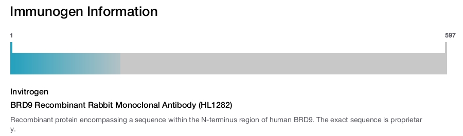 BRD9 Recombinant Rabbit Monoclonal Antibody (HL1282)