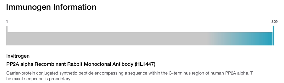 PP2A alpha Recombinant Rabbit Monoclonal Antibody (HL1447)