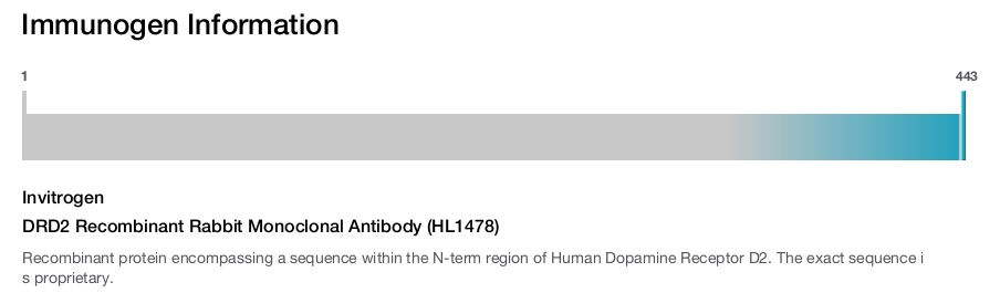 DRD2 Recombinant Rabbit Monoclonal Antibody (HL1478)