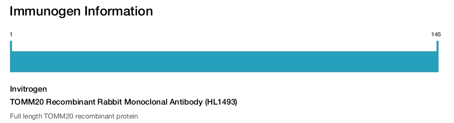 TOMM20 Recombinant Rabbit Monoclonal Antibody (HL1493)