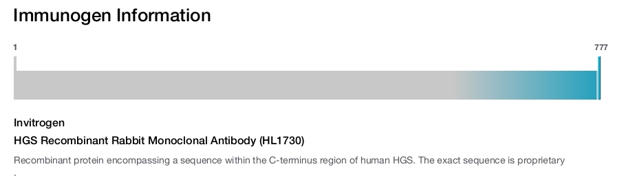 HGS Recombinant Rabbit Monoclonal Antibody (HL1730)