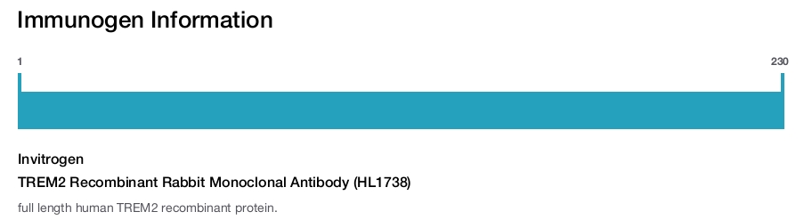 TREM2 Recombinant Rabbit Monoclonal Antibody (HL1738)