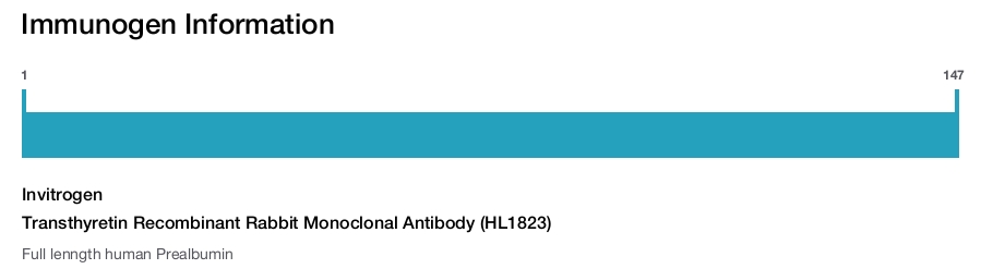 Transthyretin Recombinant Rabbit Monoclonal Antibody (HL1823)