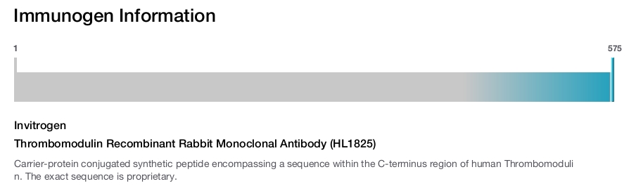 Thrombomodulin Recombinant Rabbit Monoclonal Antibody (HL1825)