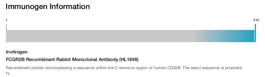 FCGR2B Recombinant Rabbit Monoclonal Antibody (HL1948)