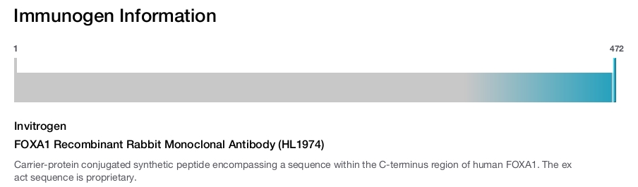 FOXA1 Recombinant Rabbit Monoclonal Antibody (HL1974)