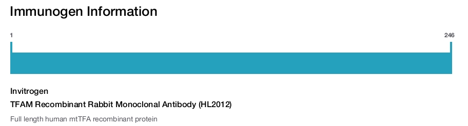 TFAM Recombinant Rabbit Monoclonal Antibody (HL2012)