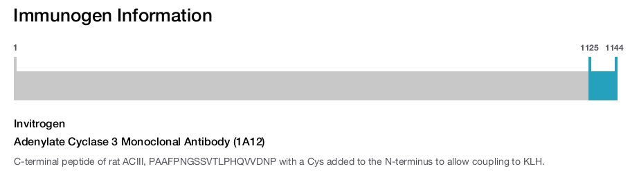 Adenylate Cyclase 3 Monoclonal Antibody (1A12)